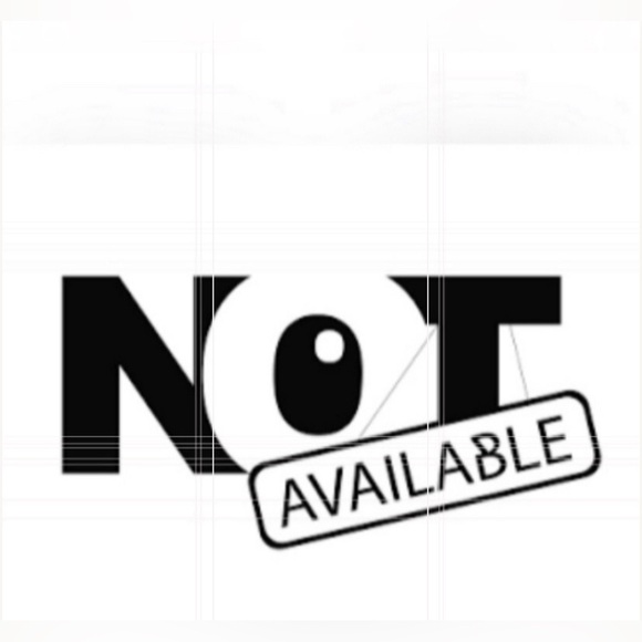 Jewelry - LAST CHANCE 🔥 Vintage Sterling Silver Large Siam Brooch #7195